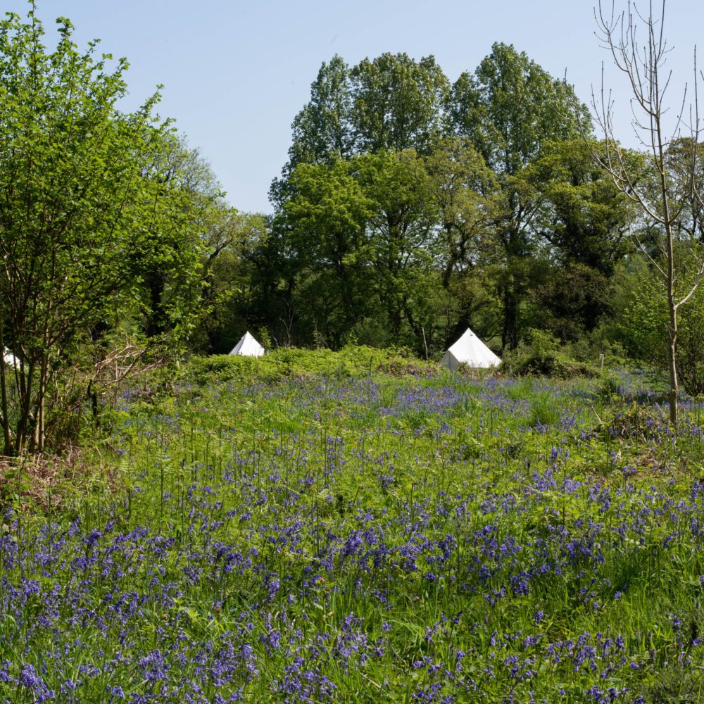 Crescent May 2023 (9)