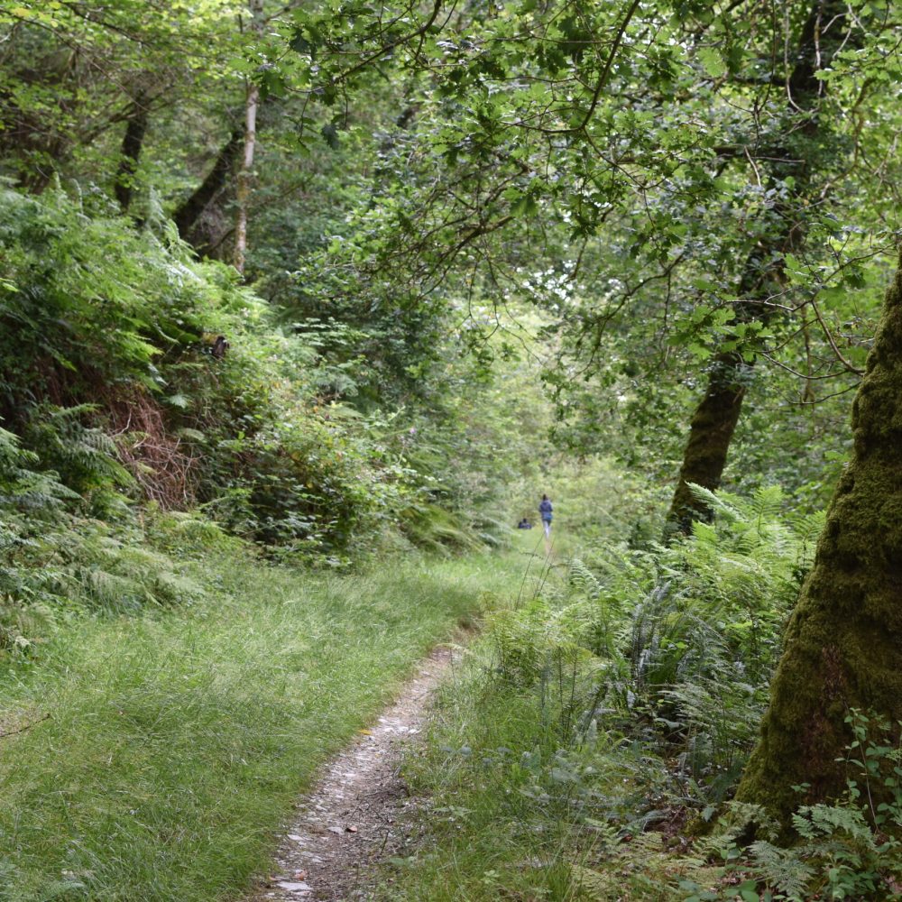 Wellbeing in Nature 19.07 (18)