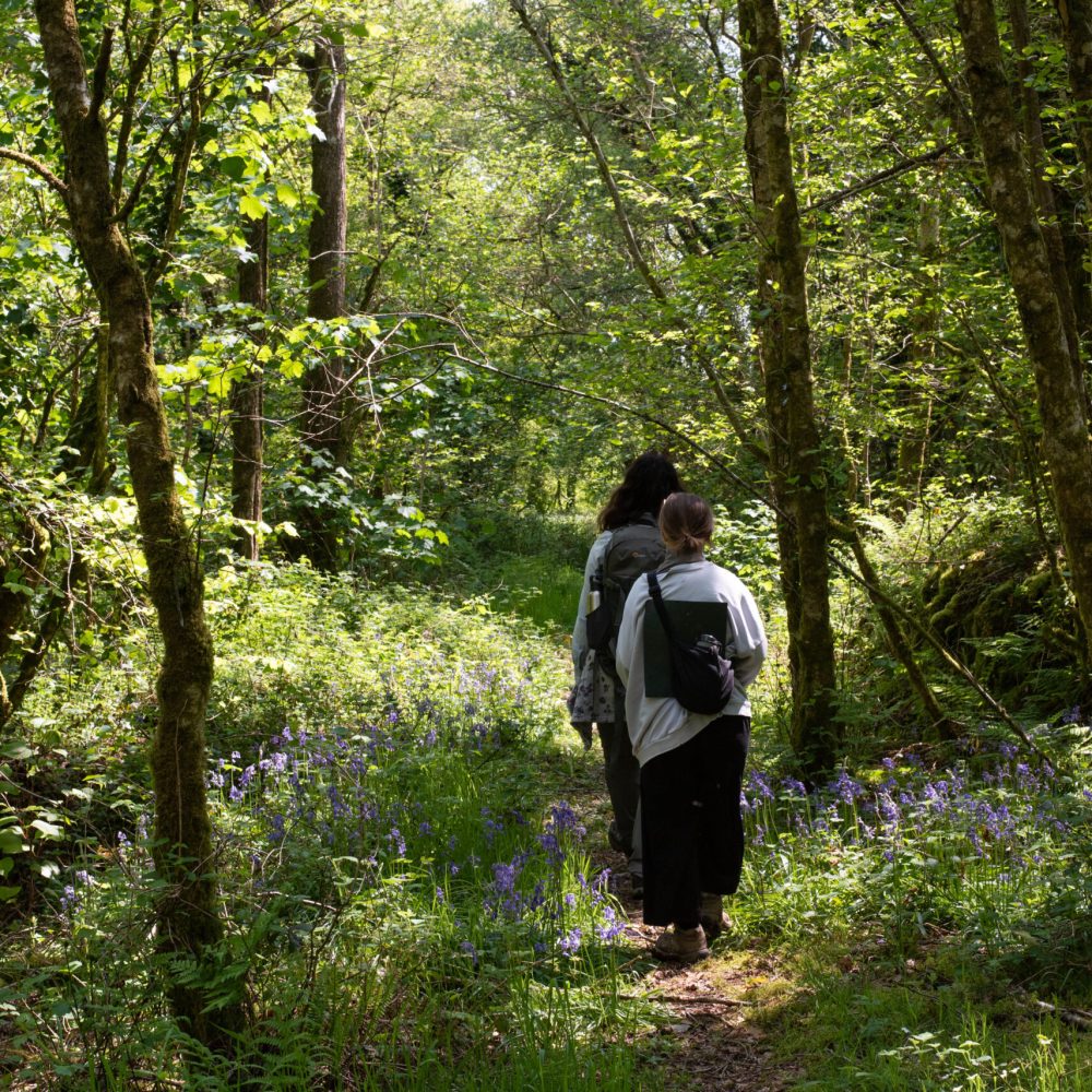 fo_caradon_woods_may23_-7_52920490935_o